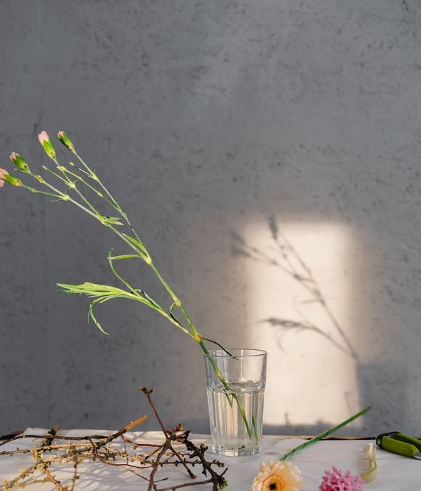 A person practicing yoga in a serene, minimalist room with natural light.