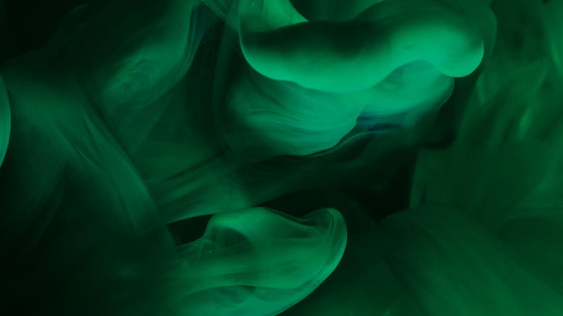 Calm abstract background with fluid shapes in dark and emerald green colors.
